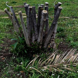 TRONCHI. Fotografie di Giulio Azzarello ©2022.