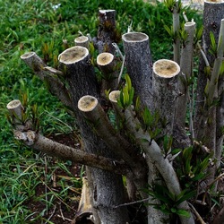 TRONCHI. Fotografie di Giulio Azzarello ©2022.