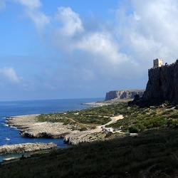 MACARI. Fotografie di Giulio Azzarello &copy;2023.