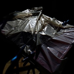 AUTUNNO fotografie di Giulio Azzarello ©2021. AUTUNNO fotografie di Giulio Azzarello ©2021.