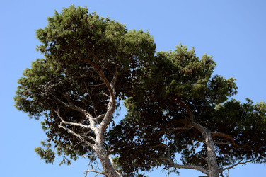 SELINUNTE il sito e parco archeologico. Fotografie di Giulio Azzarello &copy;2014.