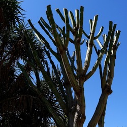GIARDINO. Fotografie di Giulio Azzarello ©2022.