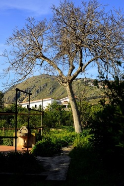 CAMPAGNA fotografie di Giulio Azzarello ©2020.