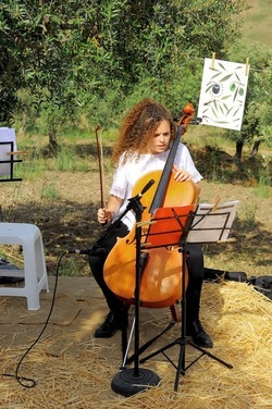 FRANTOIO GULLO ad Aliminusa in Sicilia. Fotografie di Giulio Azzarello &copy;2018.