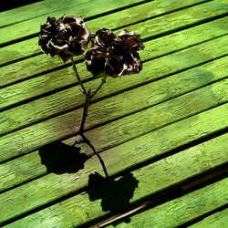 METALLICO. Fotografia di Giulio Azzarello &copy;2023.