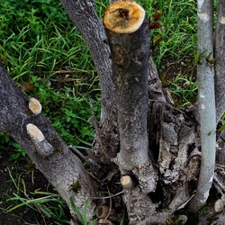 TRONCHI. Fotografie di Giulio Azzarello ©2022.