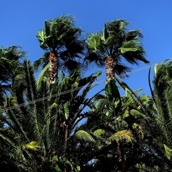 SELINUNTE. Fotografie di Giulio Azzarello ©2022. SELINUNTE. Fotografie di Giulio Azzarello ©2022.