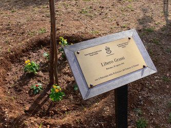 GIARDINO DELLA MEMORIA in Sicilia. Fotografie di Giulio Azzarello &copy;2014.
