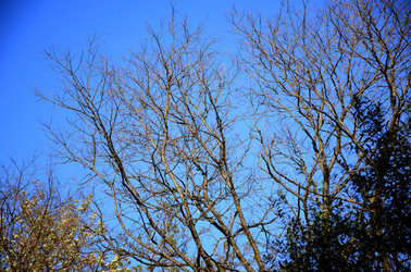 GOLE DELL ALCANTARA in Sicilia. Fotografie di Giulio Azzarello &copy;2016.