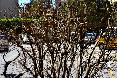 PERIFERIE fotografie di Giulio Azzarello ©2019.