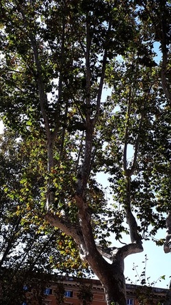 ROMA fotografie di Giulio Azzarello &copy;2022.