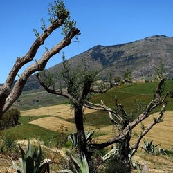 SEGESTA. Fotografie di Giulio Azzarello ©2024. SEGESTA. Fotografie di Giulio Azzarello ©2024.