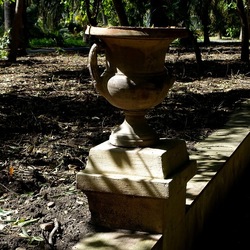 ORTO BOTANICO DI PALERMO. Fotografie di Giulio Azzarello ©2022. ORTO BOTANICO DI PALERMO. Fotografie di Giulio Azzarello ©2022.