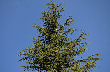 IL PARCO DELLE MADONIE da Polizzi Generosa in Sicilia. Fotografie di Giulio Azzarello &copy;2014.