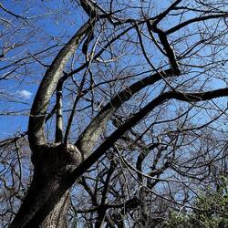 ORTO BOTANICO DI PALERMO. Fotografie di Giulio Azzarello ©2022. ORTO BOTANICO DI PALERMO. Fotografie di Giulio Azzarello ©2022.