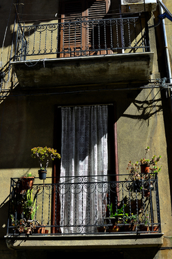 VARIE. Fotografie di Giulio Azzarello ©2020. VARIE. Fotografie di Giulio Azzarello ©2020.