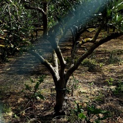 CAMMINANDO. Fotografie di Giulio Azzarello &copy;2024.