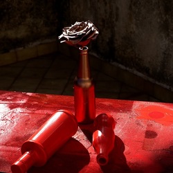 NATURE MORTE. Fotografie di Giulio Azzarello ©2024. NATURE MORTE. Fotografie di Giulio Azzarello ©2024.