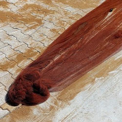 SELINUNTE. Fotografie di Giulio Azzarello ©2022. SELINUNTE. Fotografie di Giulio Azzarello ©2022.