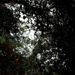 ORTO BOTANICO. Fotografie di Giulio Azzarello &copy;2024.