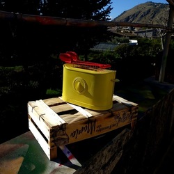 TOAST. Fotografie di Giulio Azzarello &copy;2025.