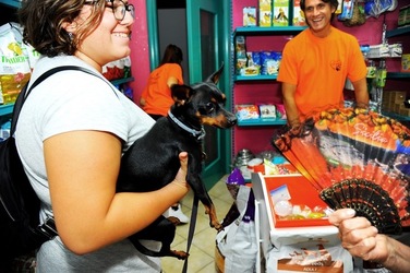 NEGOZIO di ANIMALI. Fotografie di Giulio Azzarello ©2018. NEGOZIO di ANIMALI. Fotografie di Giulio Azzarello ©2018.