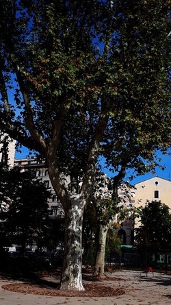 ROMA fotografie di Giulio Azzarello &copy;2022.