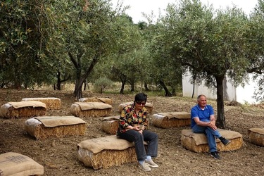 ULIVETO SICILIANO. Fotografie di Giulio Azzarello ©2022.