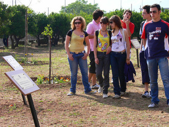 GIARDINO DELLA MEMORIA in Sicilia. Fotografie di Giulio Azzarello &copy;2014.