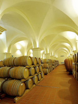 BOTTI per il vino. Fotografie di Giulio Azzarello ©2016. BOTTI per il vino. Fotografie di Giulio Azzarello ©2016.