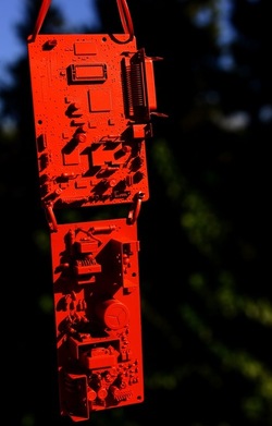 STILL LIFE ASSURDI fotografie di Giulio Azzarello ©2020.