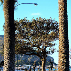 MONDELLO di inverno. Fotografie di Giulio Azzarello &copy;2016.