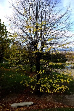 FIRENZE PALAZZO PITTI e GIARDINO DI BOBOLI. Fotografie di Giulio Azzarello &copy;2022.