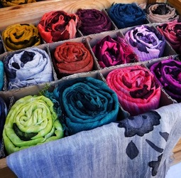 ORTO BOTANICO di PALERMO. Fotografie di Giulio Azzarello ©2019.