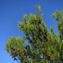 SELINUNTE. Fotografie di Giulio Azzarello ©2022. SELINUNTE. Fotografie di Giulio Azzarello ©2022.