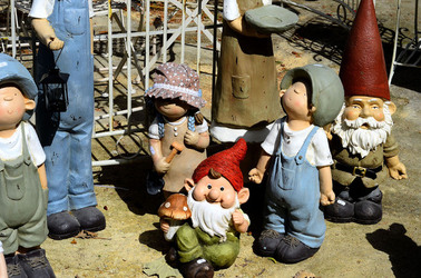 ORTO BOTANICO di Palermo in inverno. Fotografie di Giulio Azzarello &copy;2016.