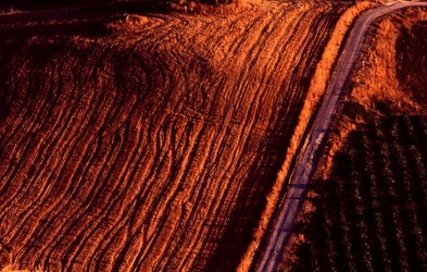ALBE TEATRALI A SEGESTA fotografie di Giulio Azzarello &copy;2021.
