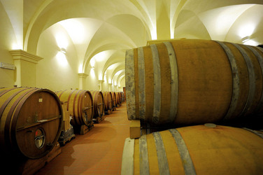 BOTTI per il vino. Fotografie di Giulio Azzarello ©2016. BOTTI per il vino. Fotografie di Giulio Azzarello ©2016.