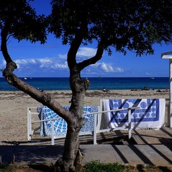 MONDELLO fotografie di Giulio Azzarello ©2021. MONDELLO fotografie di Giulio Azzarello ©2021.