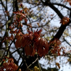 ORTO BOTANICO. Fotografie di Giulio Azzarello &copy;2024.