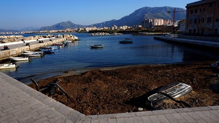 BARCHE. Fotografie di Giulio Azzarello ©2022. BARCHE. Fotografie di Giulio Azzarello ©2022.