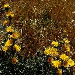 TERRASINI. Fotografie di Giulio Azzarello &copy;2022.