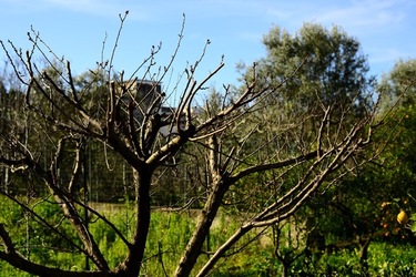 CAMPAGNA fotografie di Giulio Azzarello ©2020.