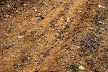 CAMPAGNA SICILIANA. Fotografie di Giulio Azzarello &copy;2016.