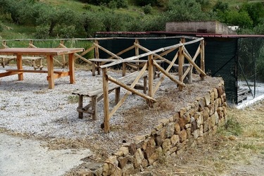 ULIVETO SICILIANO. Fotografie di Giulio Azzarello ©2022.