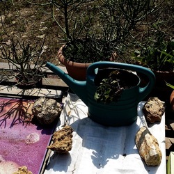 ZISA. Fotografie di Giulio Azzarello &copy;2023.