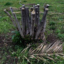 TRONCHI. Fotografie di Giulio Azzarello ©2022.
