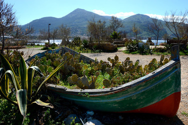 CAPO GALLO riserva marina e naturalistica a Palermo panoramiche e particolari. Fotografie di Giulio Azzarello ©2014. CAPO GALLO riserva marina e naturalistica a Palermo panoramiche e particolari. Fotografie di Giulio Azzarello ©2014.