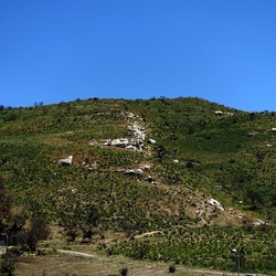 SEGESTA. Fotografie di Giulio Azzarello ©2024. SEGESTA. Fotografie di Giulio Azzarello ©2024.