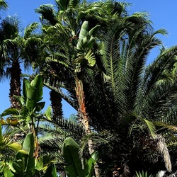 SELINUNTE. Fotografie di Giulio Azzarello ©2022. SELINUNTE. Fotografie di Giulio Azzarello ©2022.